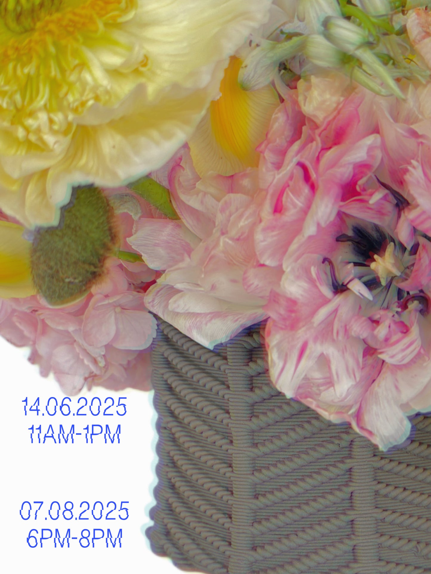 INFIIORATA x ÄerdLab – An Intimate Dialogue Between Botany and Earth