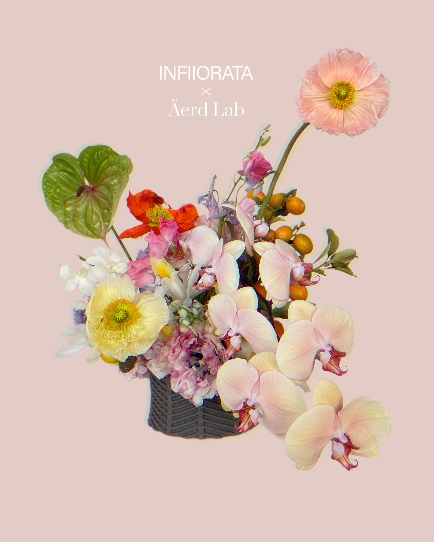 INFIIORATA x ÄerdLab – An Intimate Dialogue Between Botany and Earth