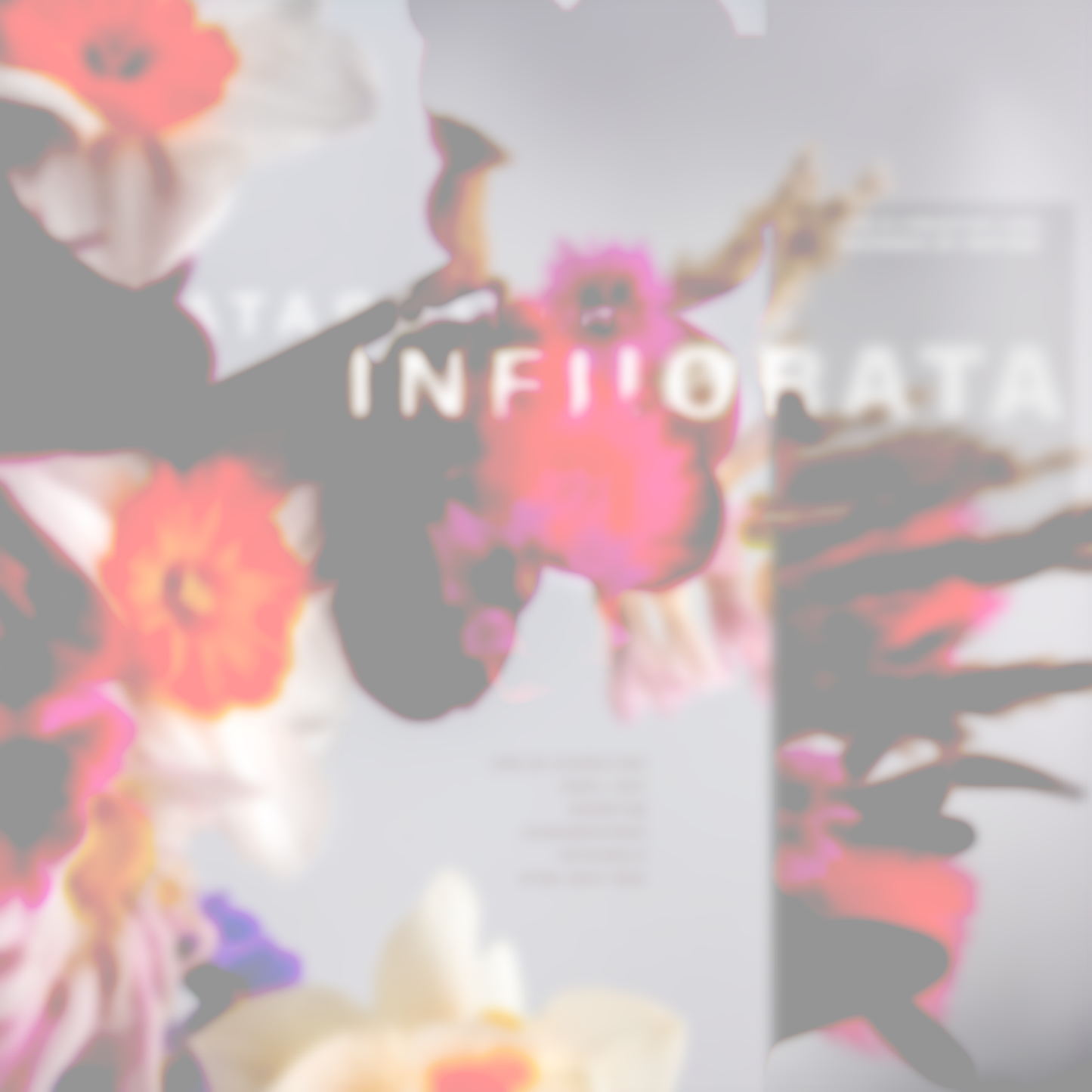 INFIIORATA GIFT GARD