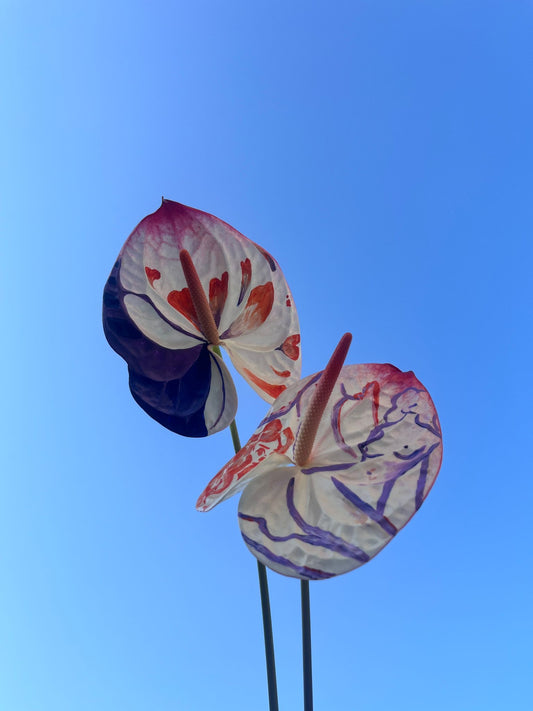 FLOWER PAINTING